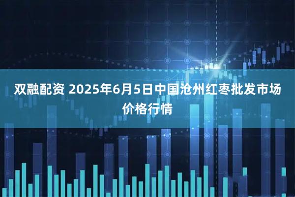 双融配资 2025年6月5日中国沧州红枣批发市场价格行情