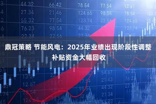 鼎冠策略 节能风电：2025年业绩出现阶段性调整 补贴资金大幅回收
