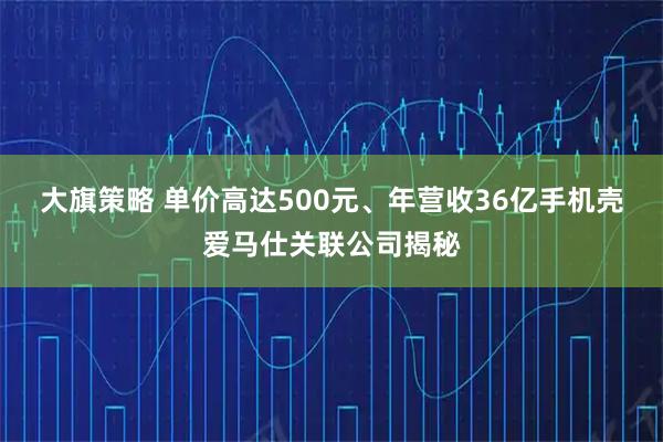 大旗策略 单价高达500元、年营收36亿手机壳爱马仕关联公司揭秘