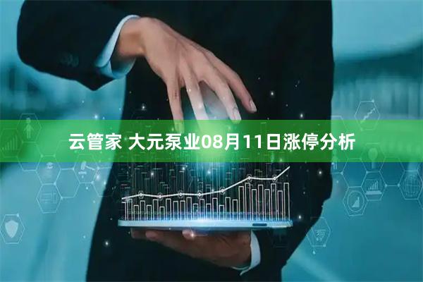 云管家 大元泵业08月11日涨停分析