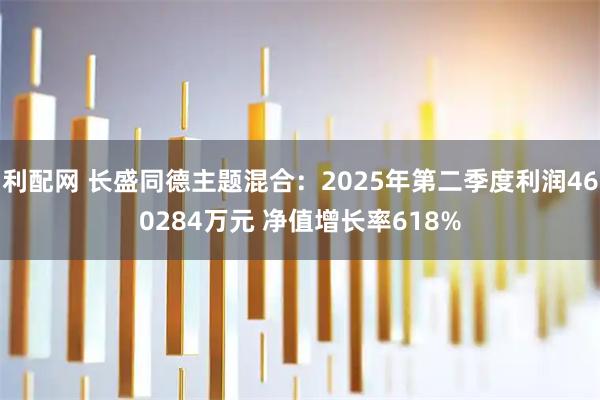 利配网 长盛同德主题混合：2025年第二季度利润460284万元 净值增长率618%